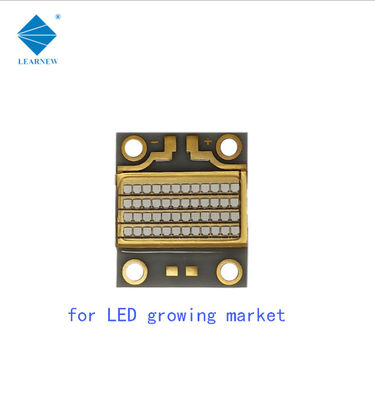 ALN Coppering 126W LED COB UV 54000mW Ultraviyole LED Çip