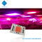 Büyüyen / Sokak Lambası için AC 110V 220V 50W 100W Sürücüsüz COB LED Chip 380-780nm