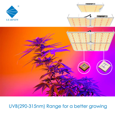 3838 3W UVB LED Çipler 340-350nm Yüksek Optik Güç 80-120mW Tıbbi Tedavi İçin
