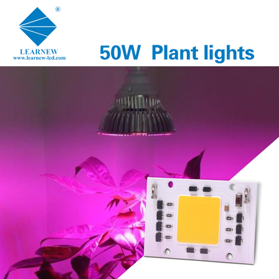 Tam Spektrumlu AC 50w LED COB Chip 200v 240v 4046 AC LED Chip Grow Light için