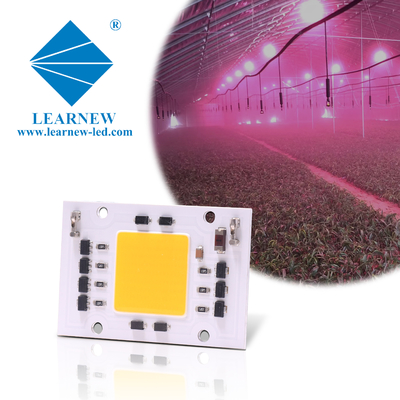 Tam Spektrumlu AC 50w LED COB Chip 200v 240v 4046 AC LED Chip Grow Light için