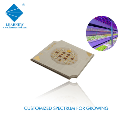 Full Spectrum Grow Light LED COB 4W 12-18 Umol/s DC23-26V 0.17A iç mekan bitki ışığı için