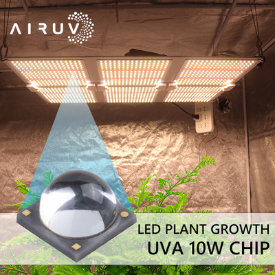 UV Kürleme için 10W 365nm 385nm 395nm 6-7V Uva 3W Led Cips