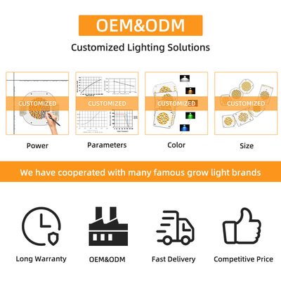 Yüksek Güçlü Bi Renkli 300W 6060 Flip Chip Özel Cob Led Chip Ticari Led Light Sahne Işığı