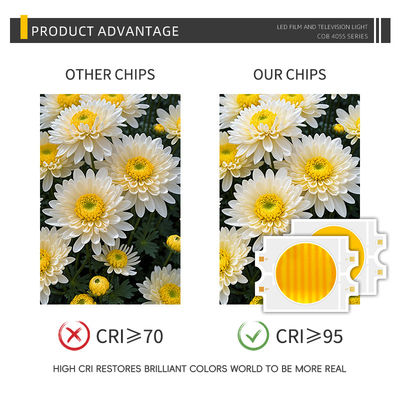 Özel Güç LED 300W İki renkli Sıcak + Soğuk Beyaz 4055 İki renkli CCT CRI95 COB LED Çip
