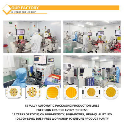 Özelleştirilmiş Alüminyum Malzeme COB Çip 2424 Beyaz Mavi Kırmızı & Yeşil Yüksek Parlaklık Çin Fabrikası