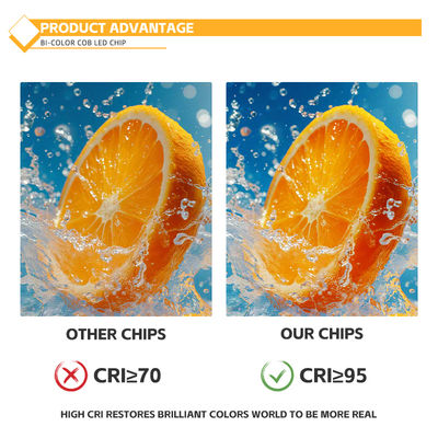 Özelleştirilmiş Alüminyum Malzeme COB Çip 2424 Beyaz Mavi Kırmızı & Yeşil Yüksek Parlaklık Çin Fabrikası