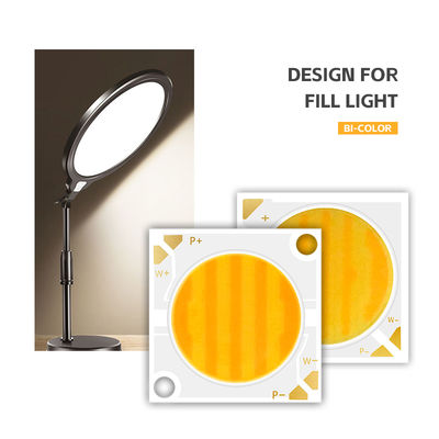 Özelleştirilmiş Alüminyum Malzeme COB Çip 2424 Beyaz Mavi Kırmızı & Yeşil Yüksek Parlaklık Çin Fabrikası