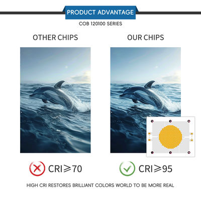 Profesyonel 1200W+1200W Çift-Isılı LED COB Çip 70-100lm/w 120*100mm, Fotoğraf Işığı için 2 Yıl Garantili