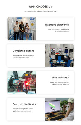 Gelişmiş 365nm 385nm 395nm Yüksek Güç UVA LED SMD6868 10W Yüksek Lümen 6.0-7.0V Sera Bitki Büyümesi UV Kürleme için UV Işık