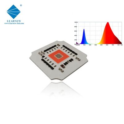 Bitki Büyüme Işığı için 100w 7070 Düşük Isı Direnci GROW LED COB