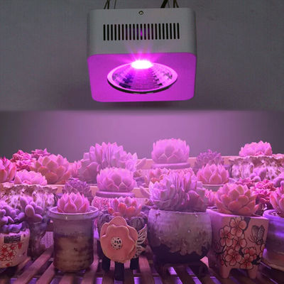 200W Tam Spektrumlu COB LED Büyüme Işığı Çok Dalga Uzunluğu Alüminyum