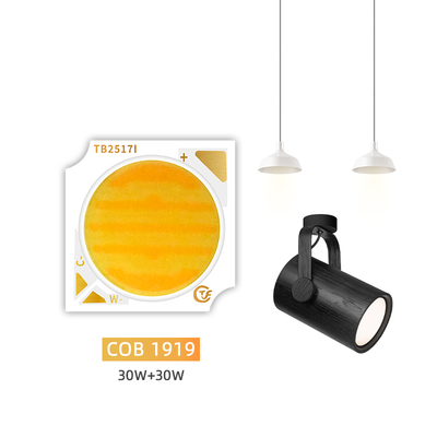 Yeni Ürün İki Renkli 1919 Chip Beyaz + Sıcak Beyaz 1919 İki Renkli SMD LED 18w 24w 25w 30w
