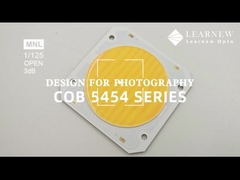 5454 Çift renk sıcaklık çip