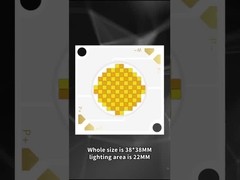 3838 çift renk COB LED