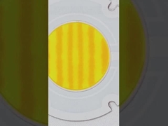 R60mm Çift Renkli COB Serisi